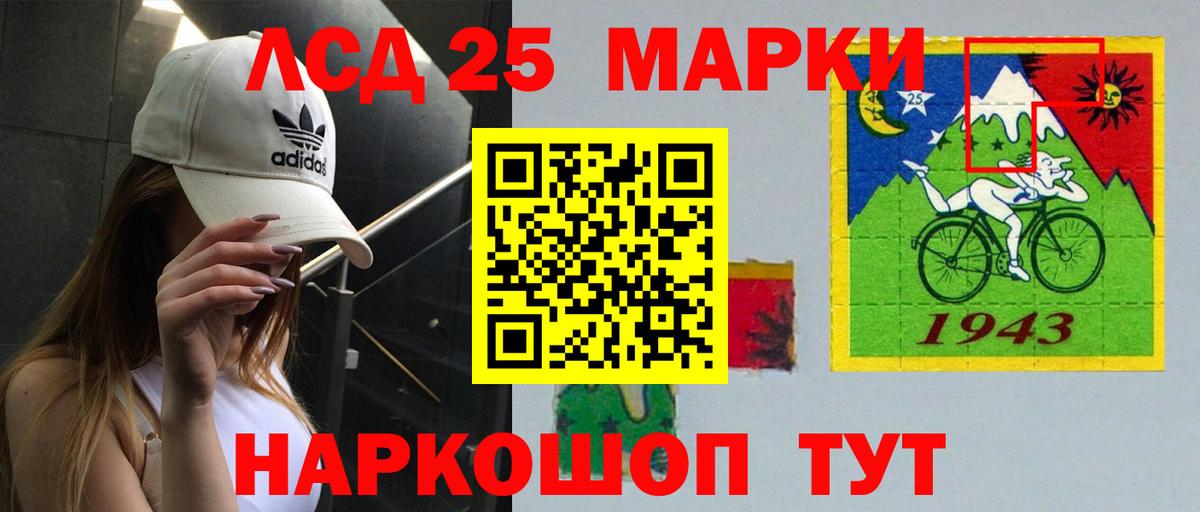 Новоалександровск  ЛСД экстази кислота  Вход с VPN  LSD-25 экстази  LSD-25 экстази кислота 